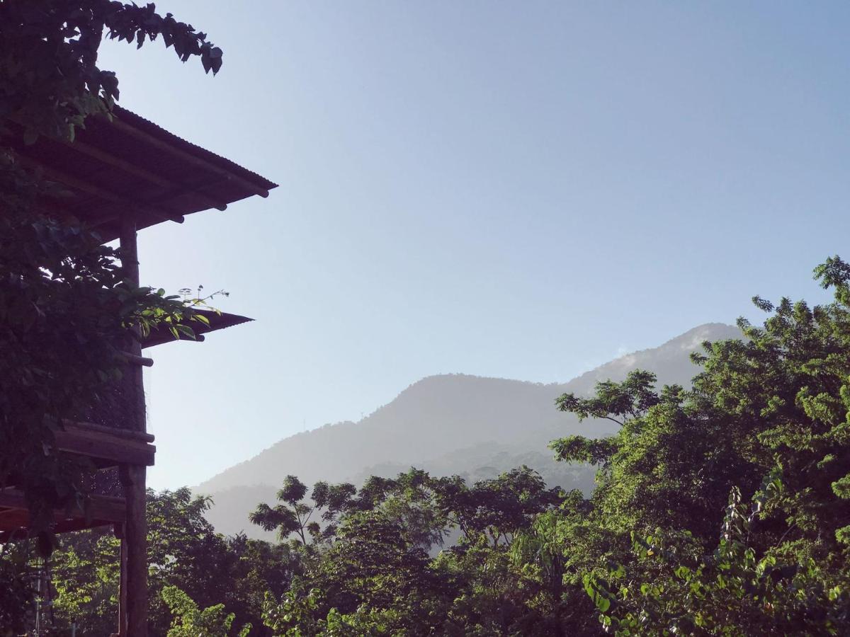 The Valley Tayrona Hostel- A Social Jungle Hostel El Zaino Dış mekan fotoğraf
