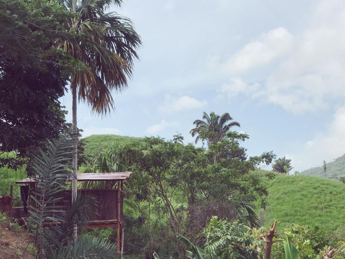 The Valley Tayrona Hostel- A Social Jungle Hostel El Zaino Dış mekan fotoğraf