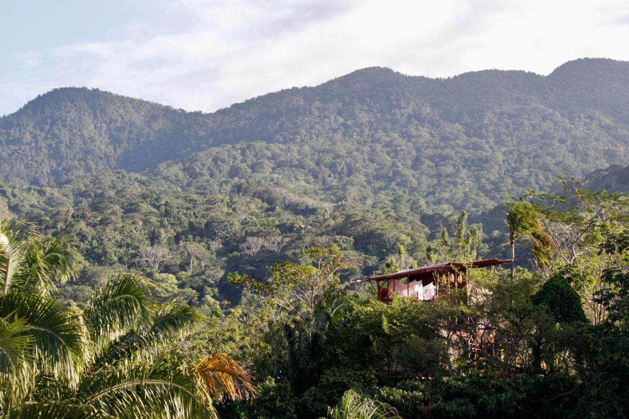 The Valley Tayrona Hostel- A Social Jungle Hostel El Zaino Dış mekan fotoğraf