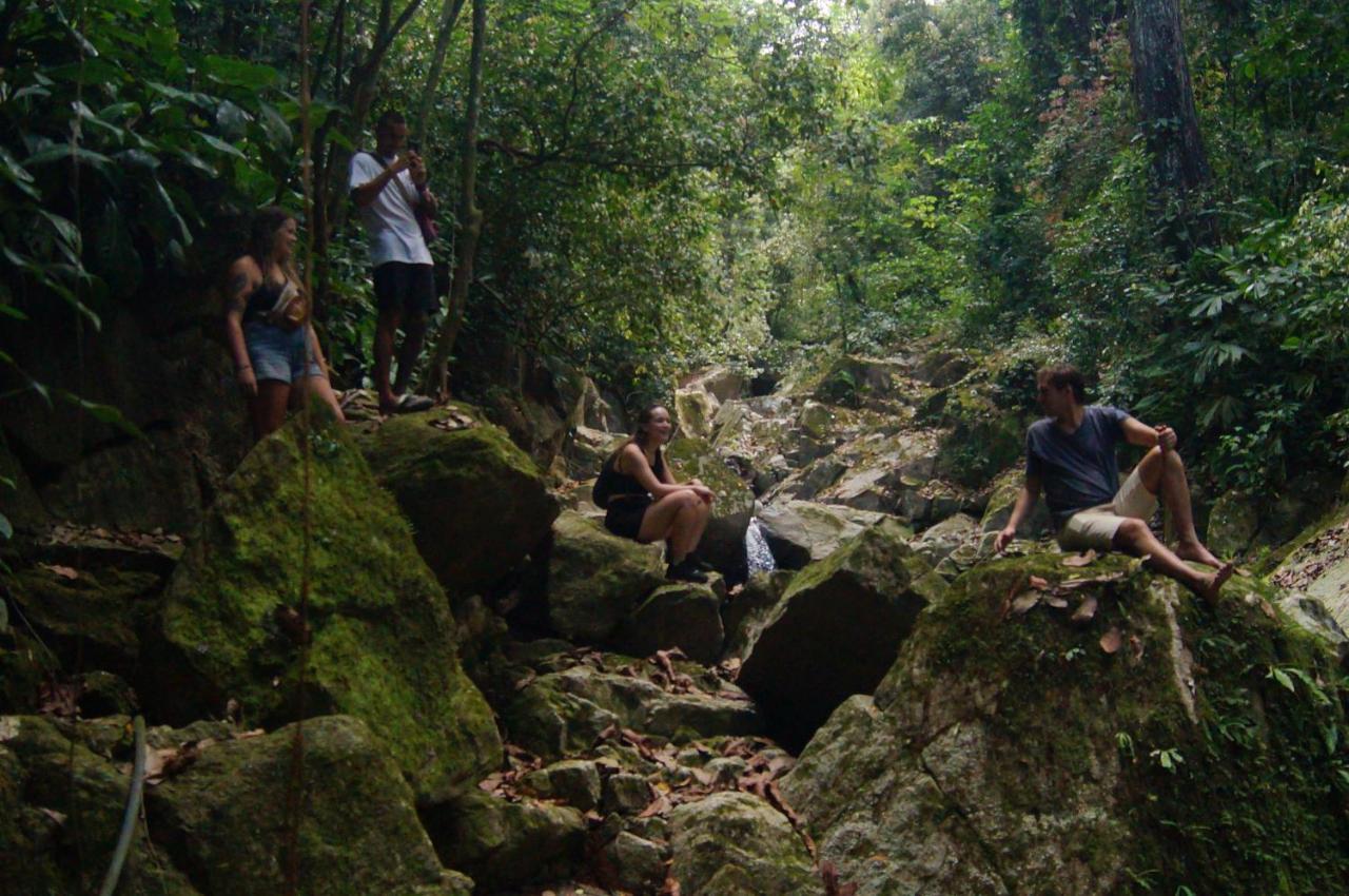 The Valley Tayrona Hostel- A Social Jungle Hostel El Zaino Dış mekan fotoğraf