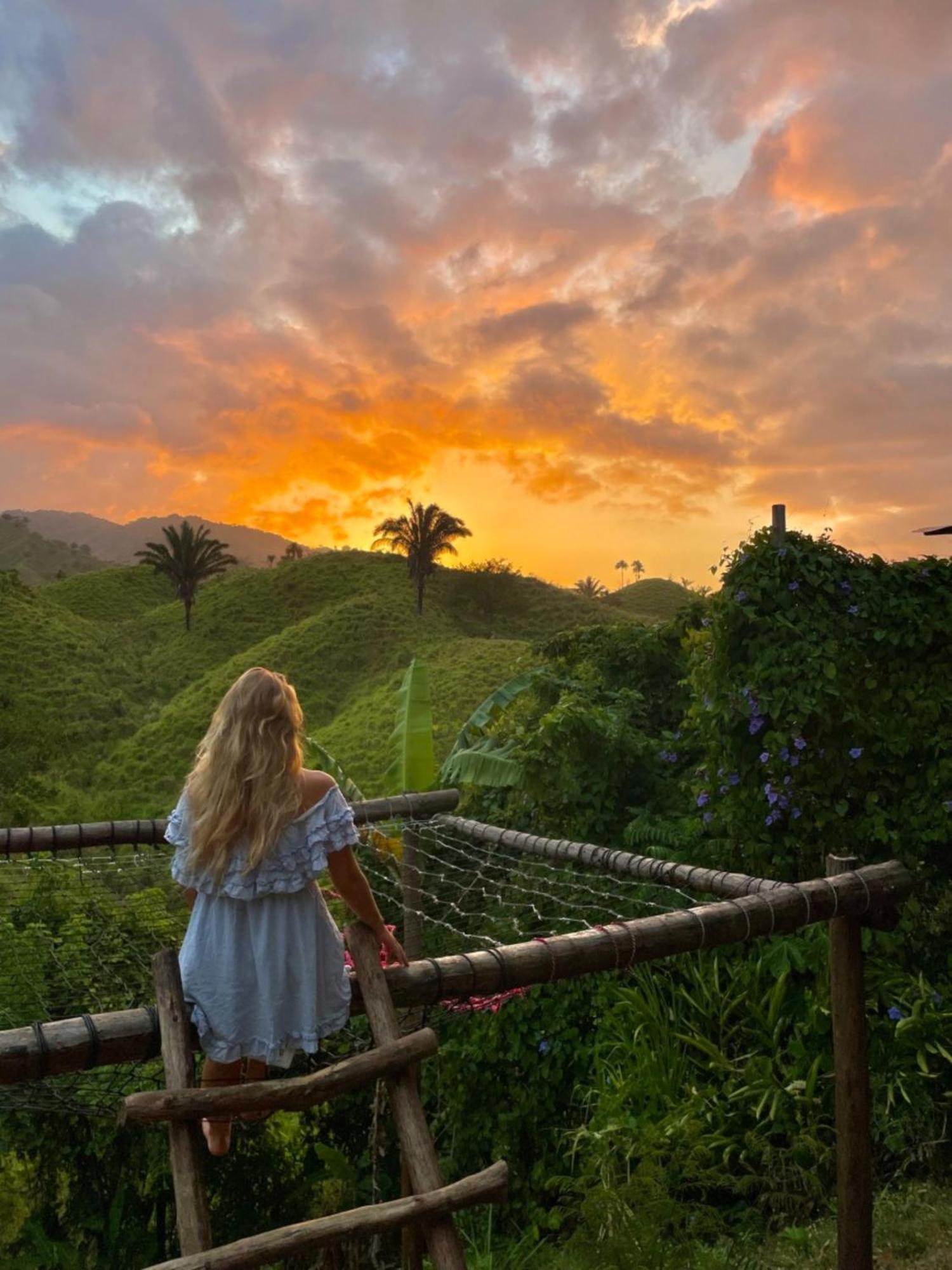 The Valley Tayrona Hostel- A Social Jungle Hostel El Zaino Dış mekan fotoğraf