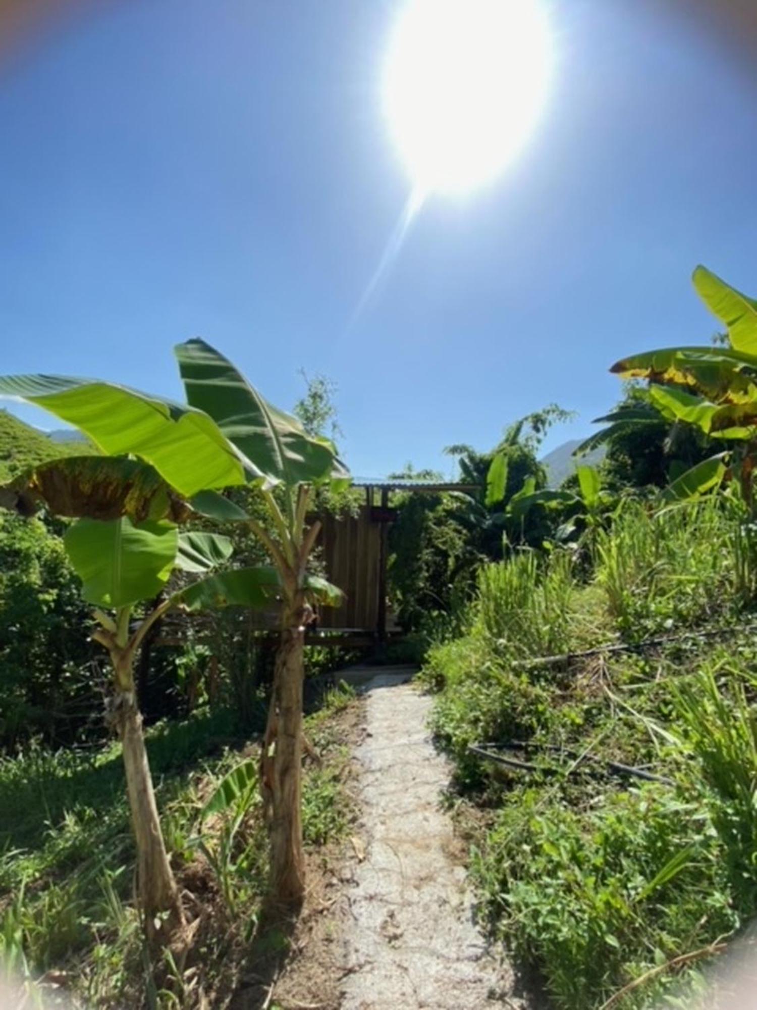 The Valley Tayrona Hostel- A Social Jungle Hostel El Zaino Dış mekan fotoğraf
