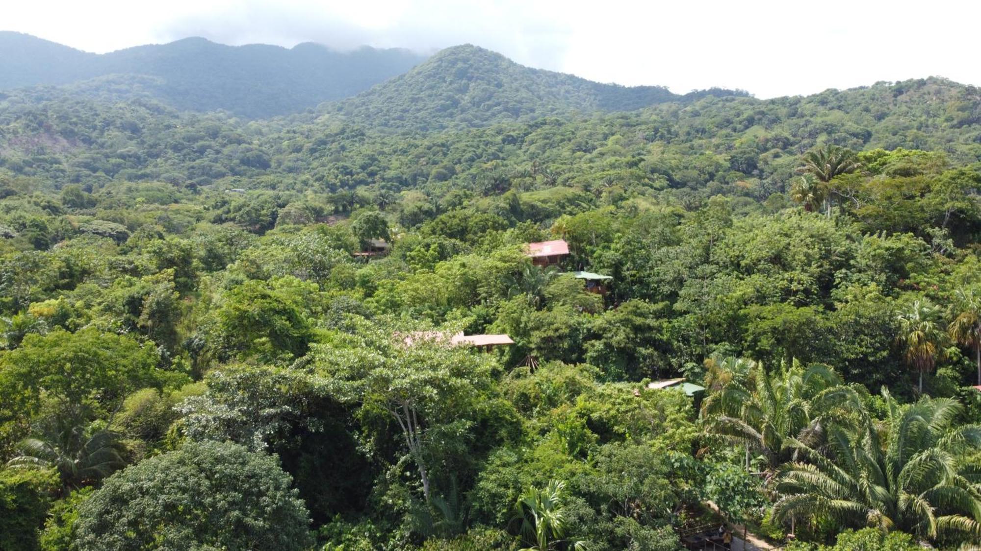 The Valley Tayrona Hostel- A Social Jungle Hostel El Zaino Dış mekan fotoğraf