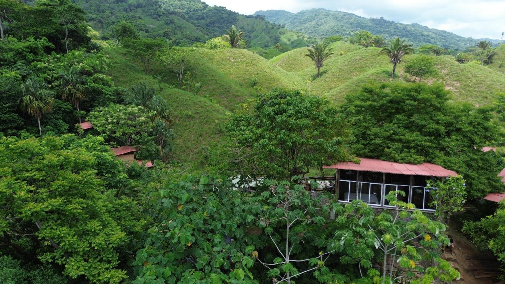 The Valley Tayrona Hostel- A Social Jungle Hostel El Zaino Dış mekan fotoğraf