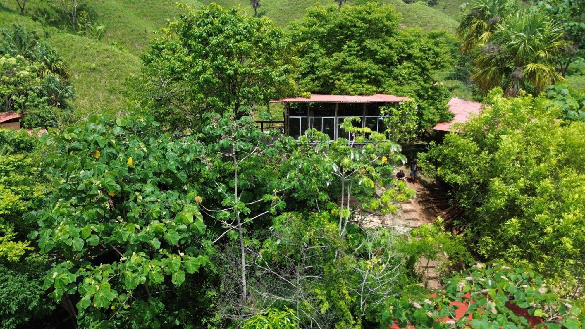 The Valley Tayrona Hostel- A Social Jungle Hostel El Zaino Dış mekan fotoğraf