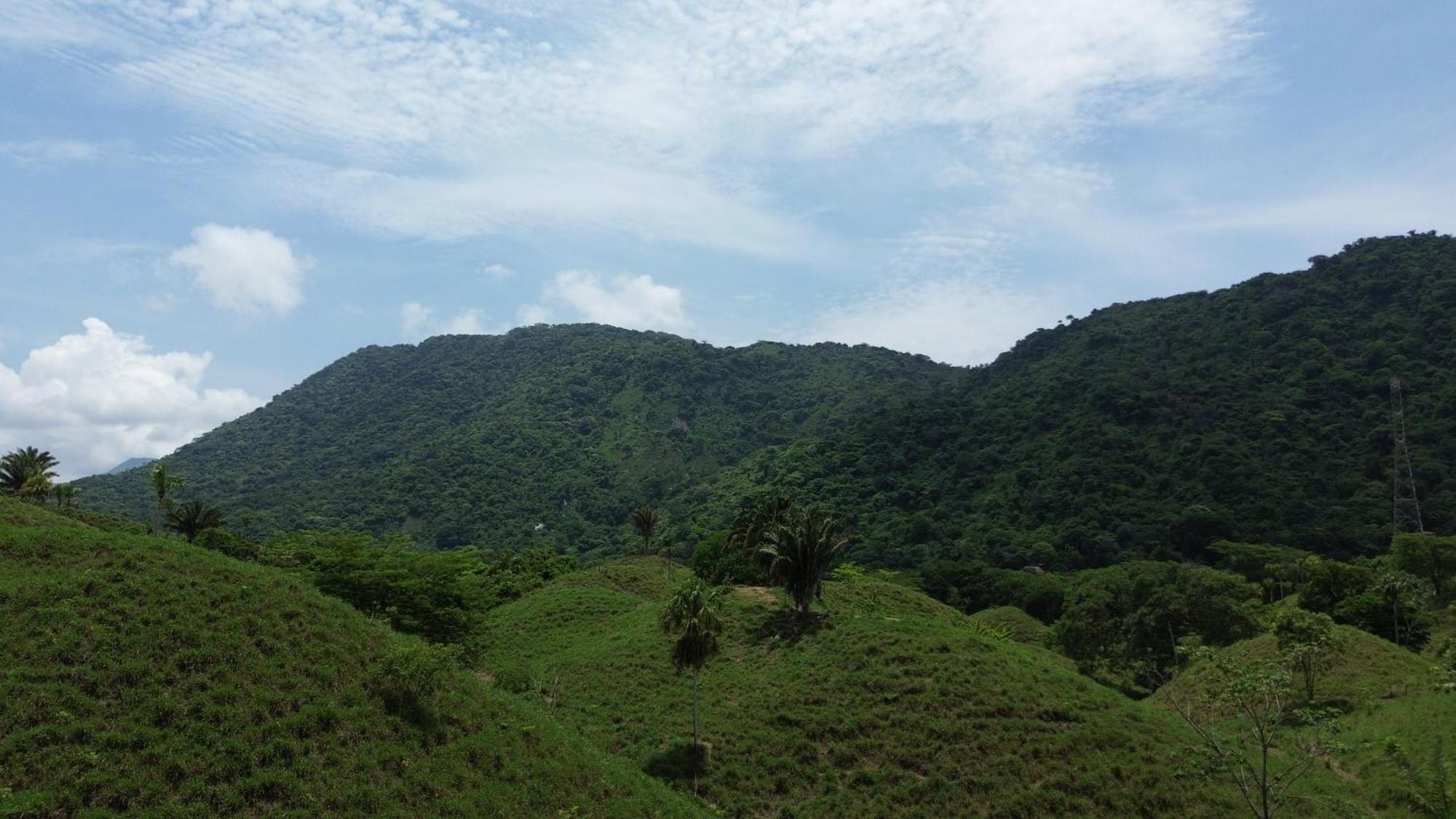 The Valley Tayrona Hostel- A Social Jungle Hostel El Zaino Dış mekan fotoğraf