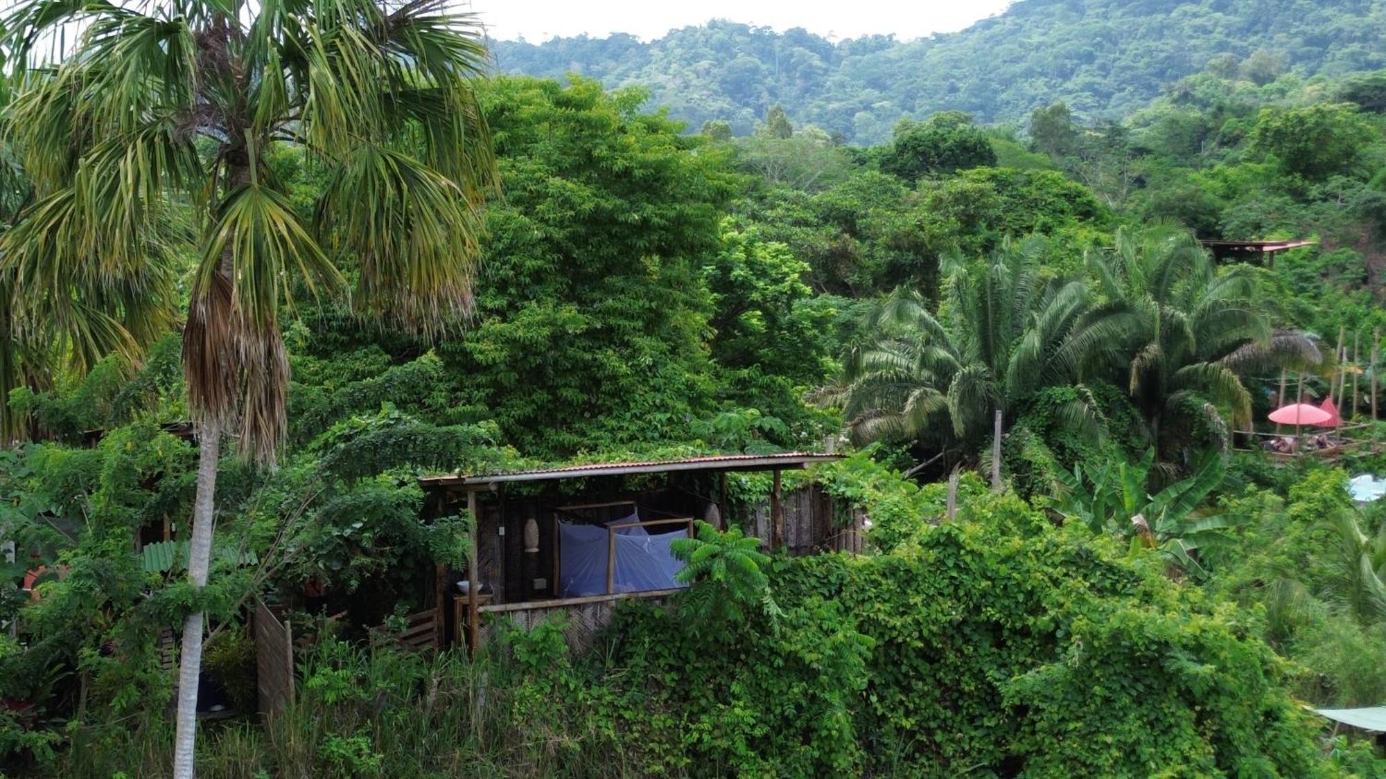 The Valley Tayrona Hostel- A Social Jungle Hostel El Zaino Dış mekan fotoğraf