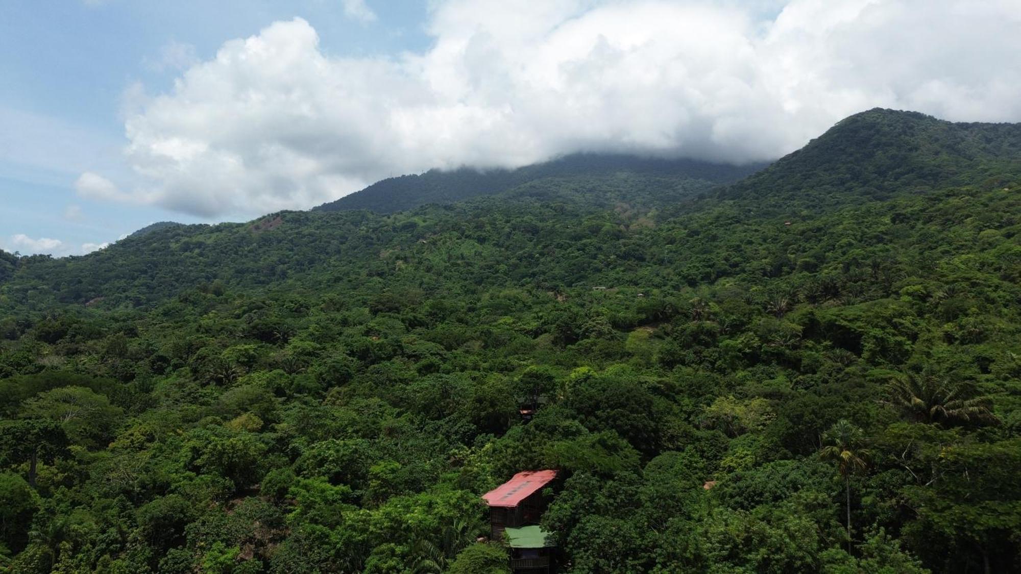 The Valley Tayrona Hostel- A Social Jungle Hostel El Zaino Dış mekan fotoğraf