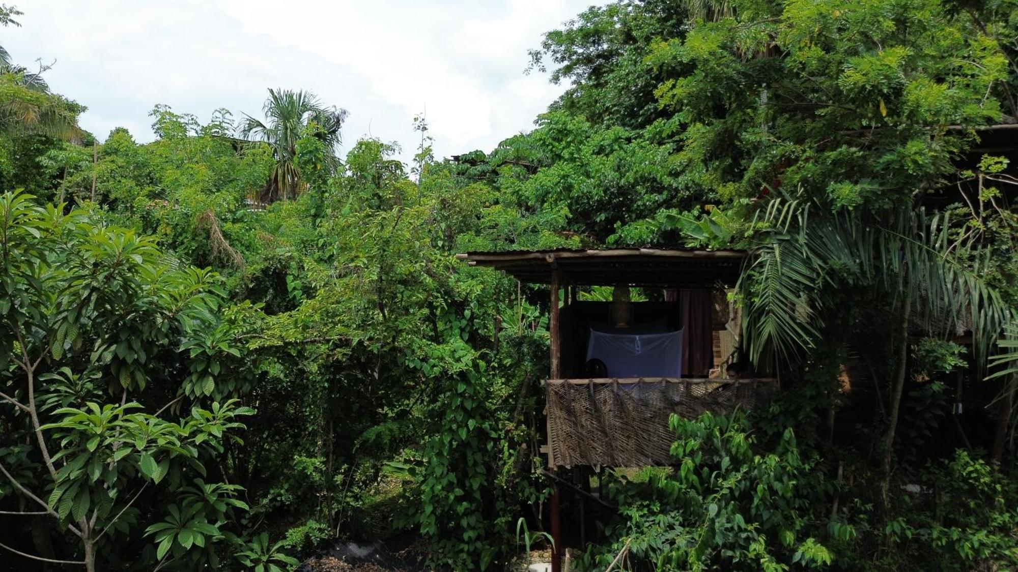 The Valley Tayrona Hostel- A Social Jungle Hostel El Zaino Dış mekan fotoğraf