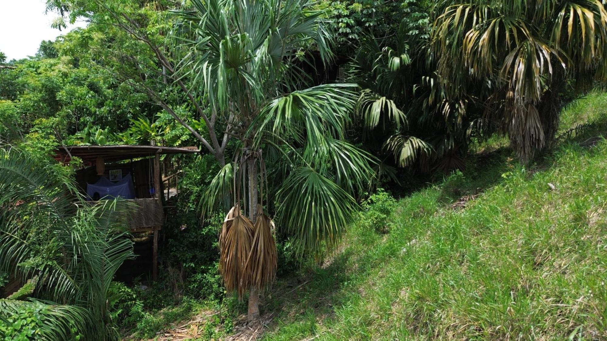 The Valley Tayrona Hostel- A Social Jungle Hostel El Zaino Dış mekan fotoğraf