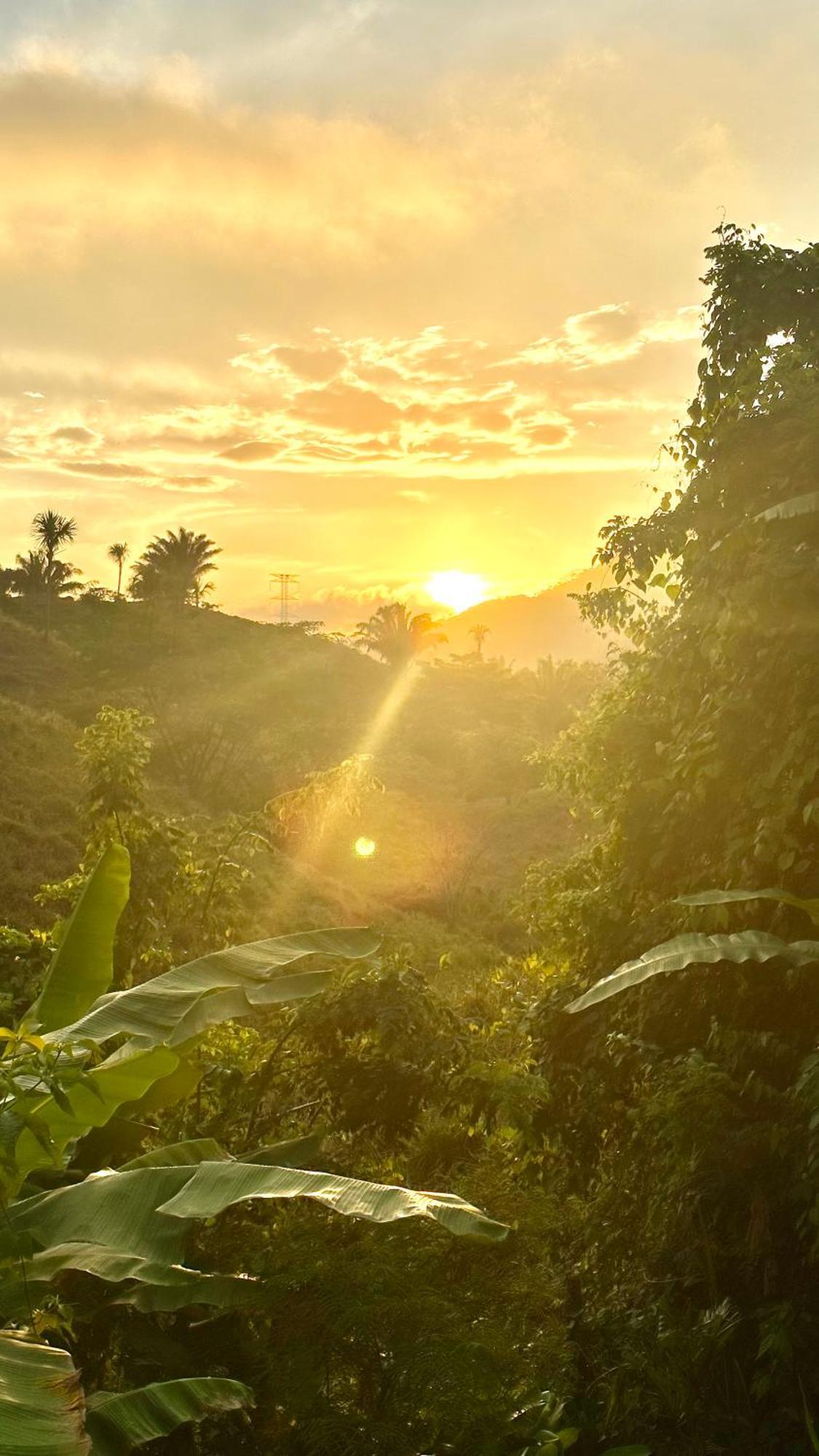 The Valley Tayrona Hostel- A Social Jungle Hostel El Zaino Dış mekan fotoğraf