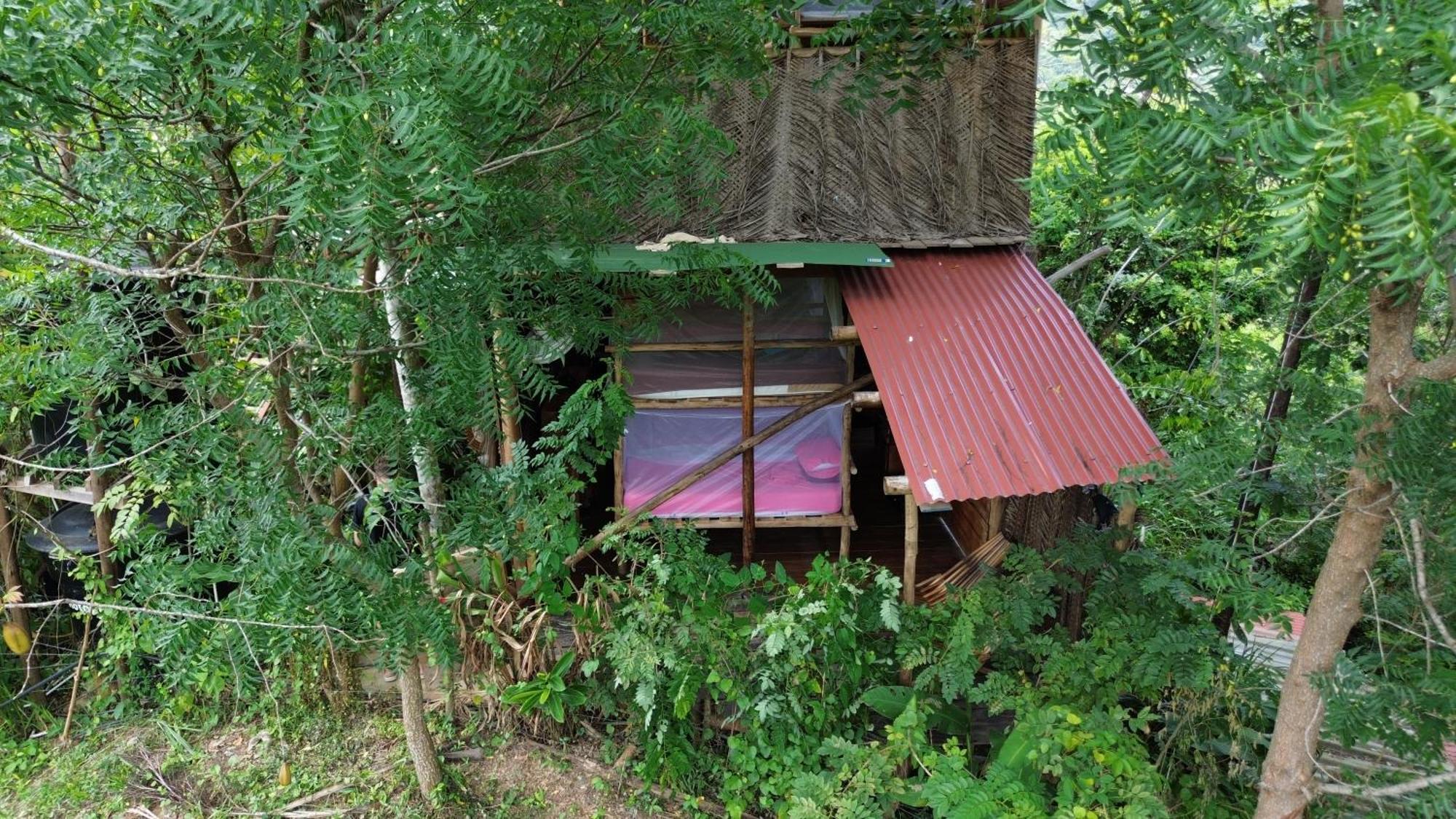 The Valley Tayrona Hostel- A Social Jungle Hostel El Zaino Dış mekan fotoğraf