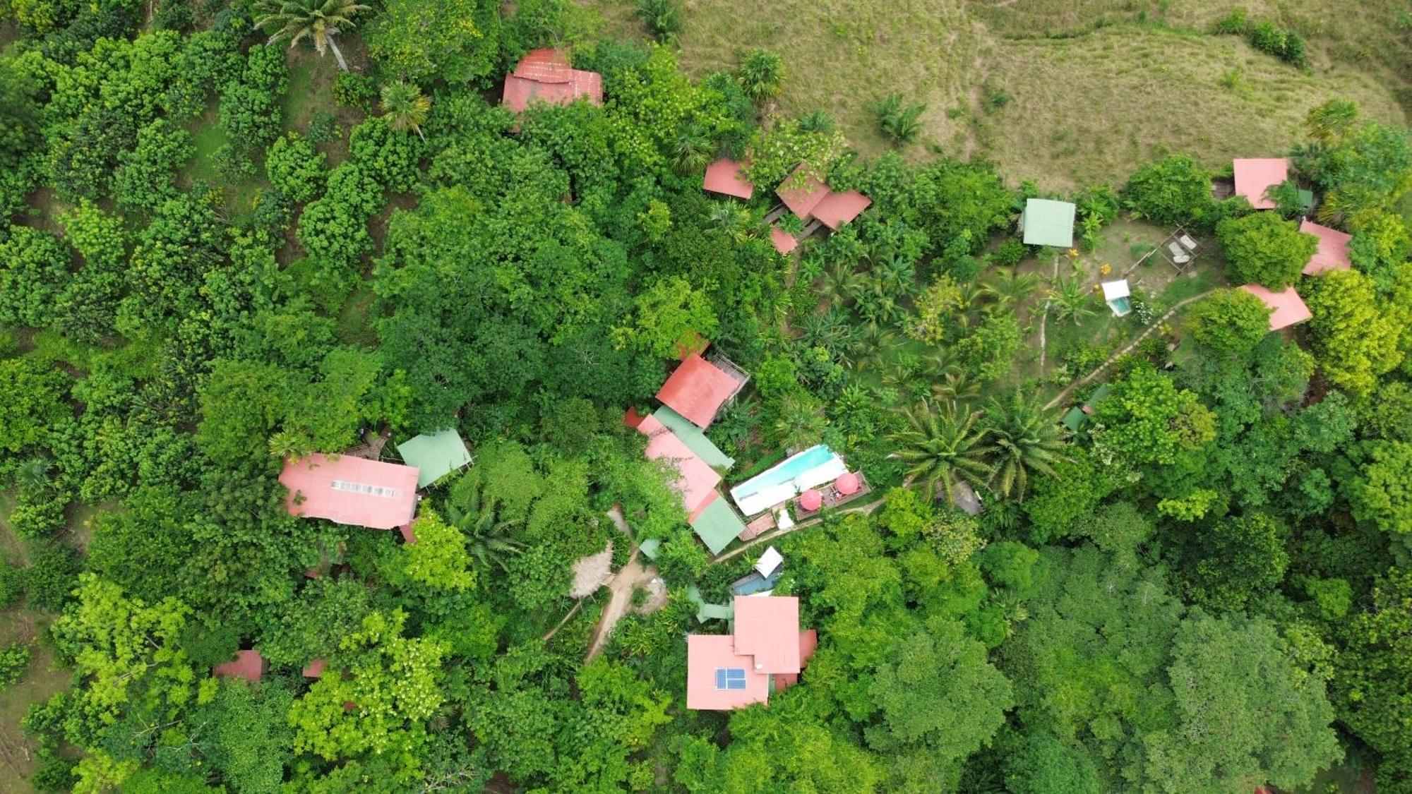 The Valley Tayrona Hostel- A Social Jungle Hostel El Zaino Dış mekan fotoğraf
