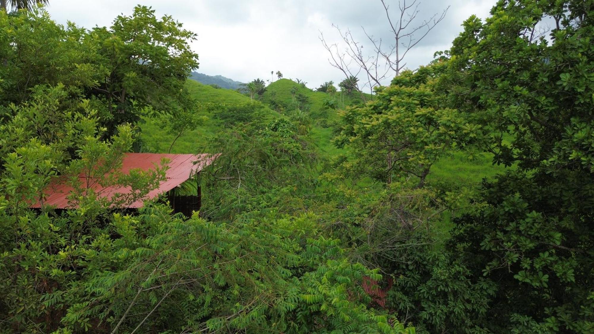 The Valley Tayrona Hostel- A Social Jungle Hostel El Zaino Dış mekan fotoğraf