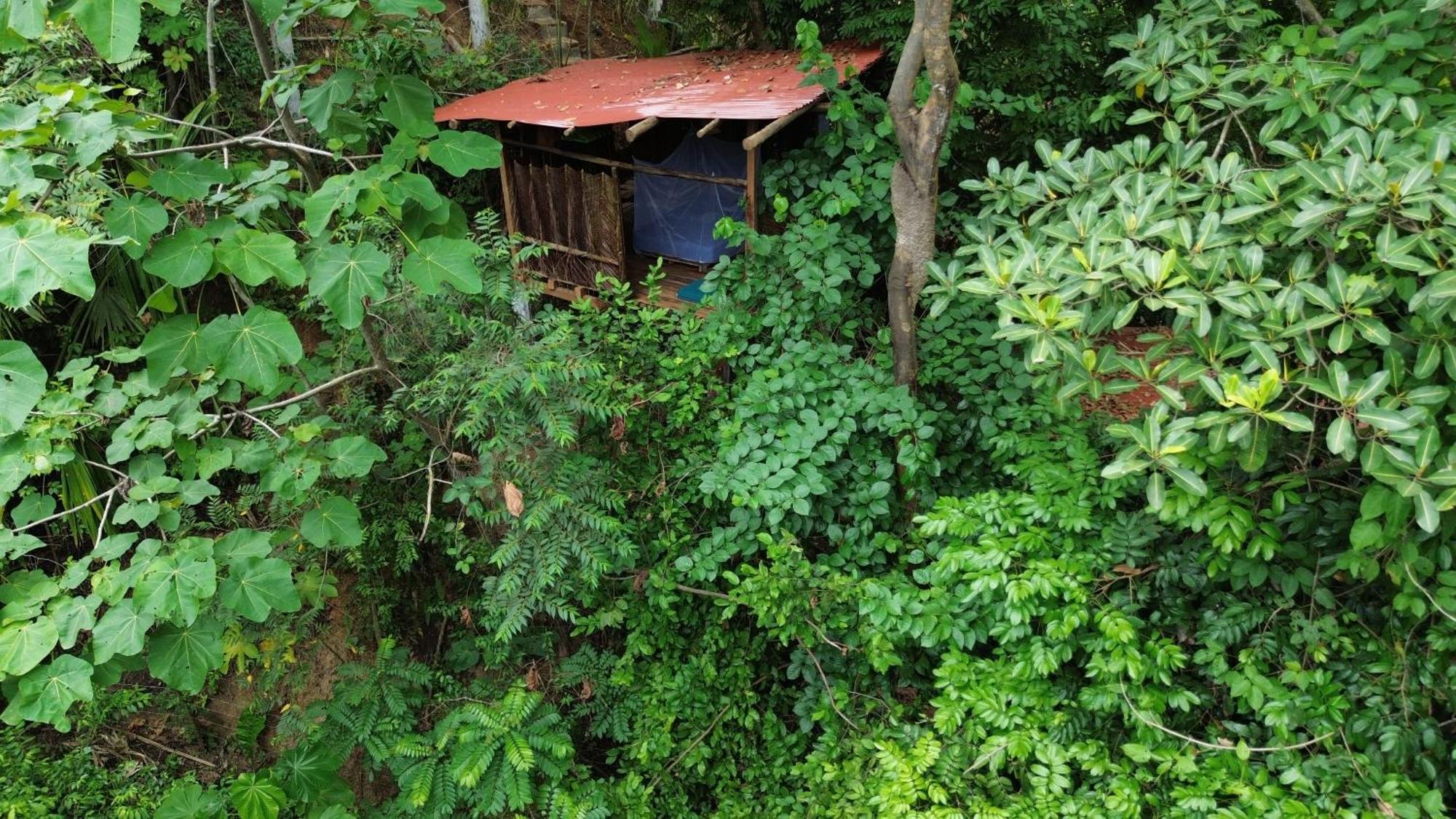 The Valley Tayrona Hostel- A Social Jungle Hostel El Zaino Dış mekan fotoğraf