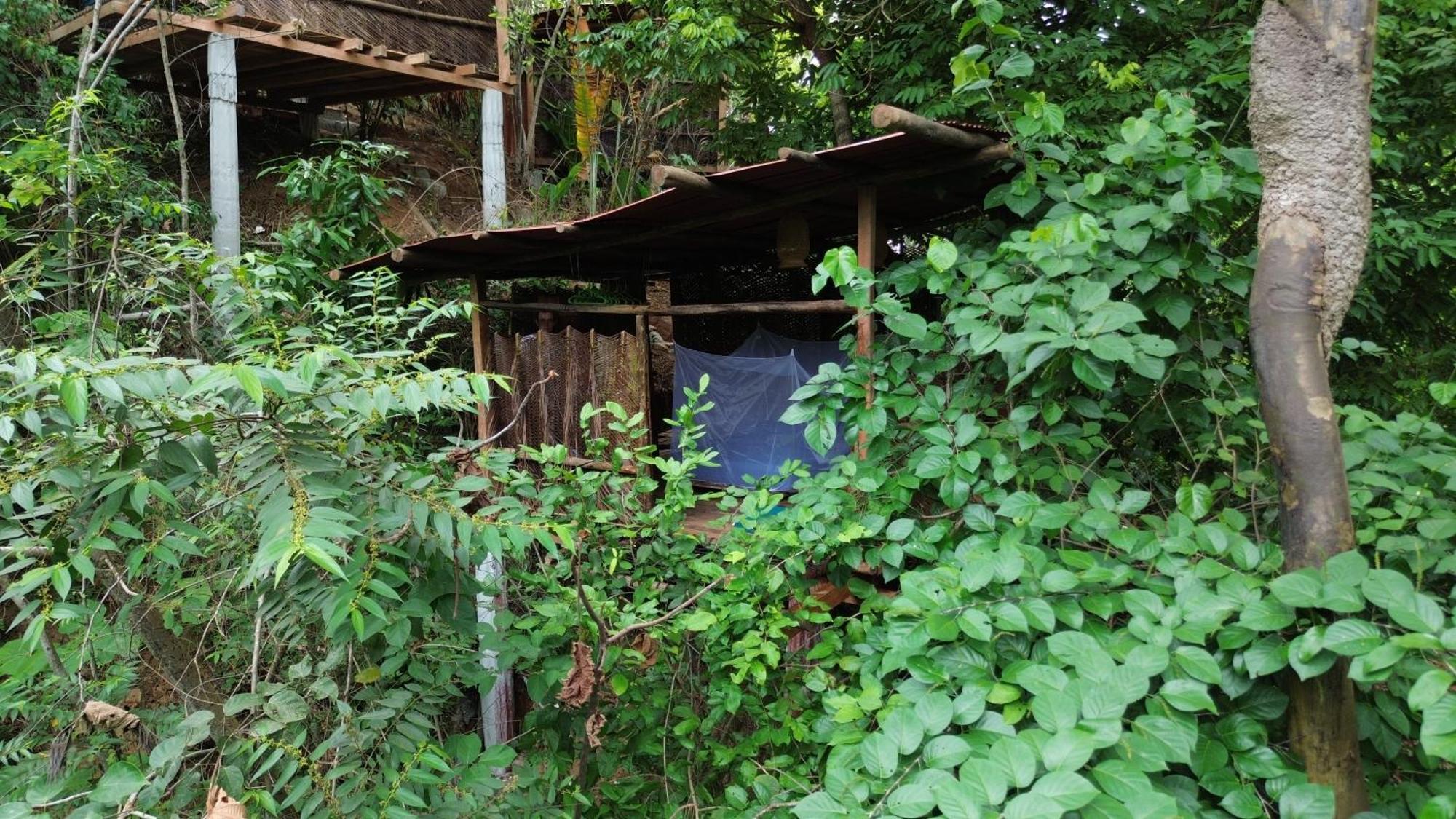 The Valley Tayrona Hostel- A Social Jungle Hostel El Zaino Dış mekan fotoğraf
