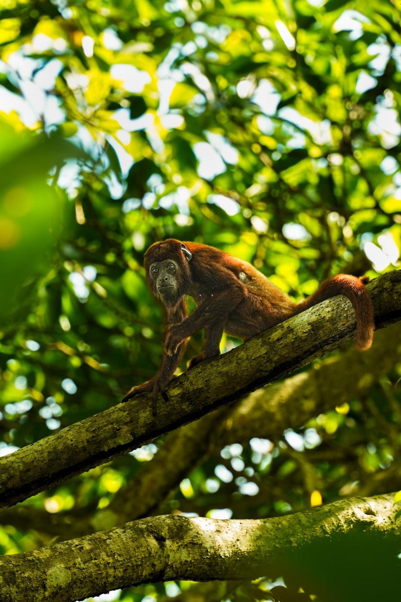 The Valley Tayrona Hostel- A Social Jungle Hostel El Zaino Dış mekan fotoğraf
